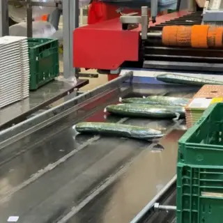 Food & AGF Meewerkend voorman in een AGf-groothandel