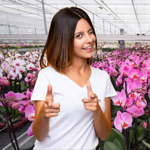 Iedere week nieuwe vacatures