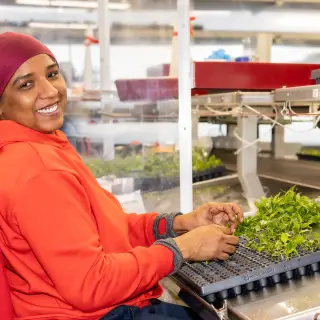 Tuinbouw Productiemedewerker Planten