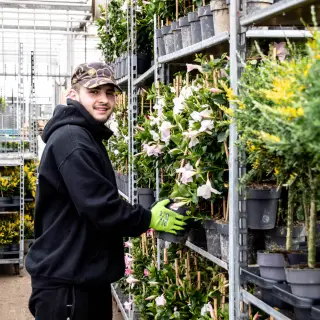 Tuinbouw Productiemedewerker Glastuinbouw