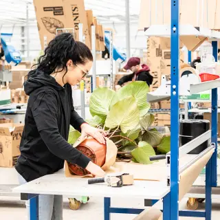 Tuinbouw Productiemedewerker