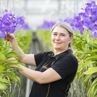 Tuinbouw Productiemedewerker Planten