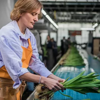 Tuinbouw Productiemedewerker