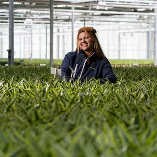 Tuinbouw Kwekerij medewerker